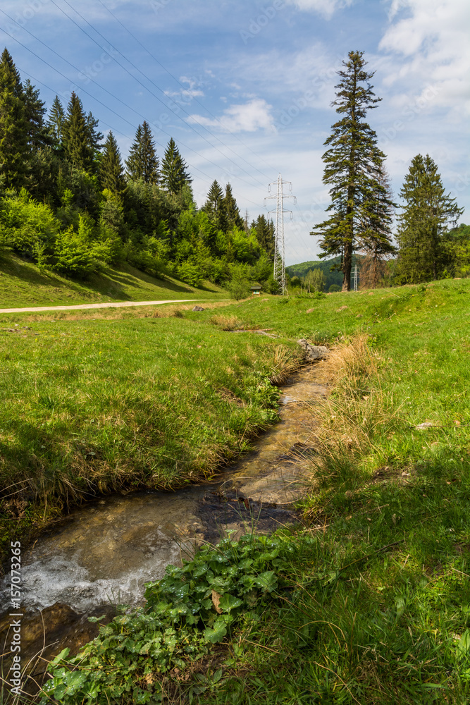 Obraz premium A Small But Beautiful Creek near the Road