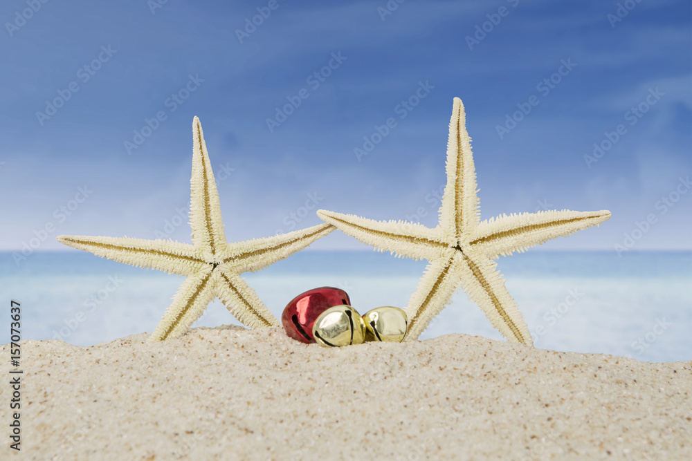 Starfishes and christmas bells on beach Starfishes and christmas bells on beach