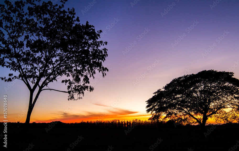 colorful dramatic sky with cloud at sunset