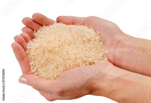 some raw rice is on female hands, a fistful of white rice