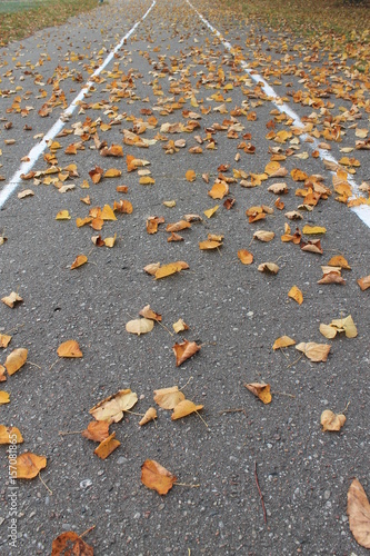 running track in autumn with fallen leaves