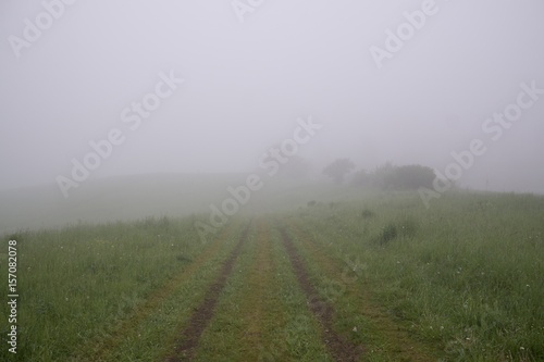 Tree in the fog over the meadow with view. Slovakia