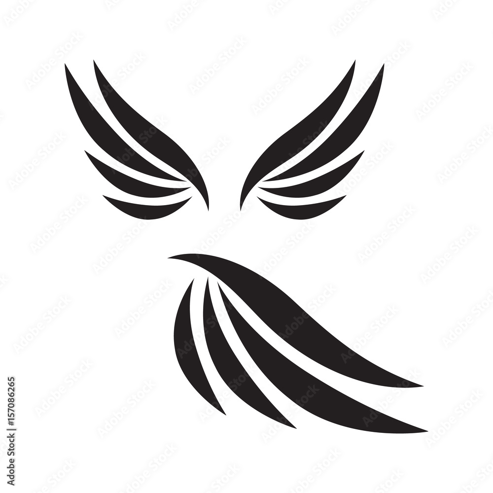 Vector wings isolated on white background. Collection of wings birds illustration Vector wings isolated on white background. Collection of wings birds illustration