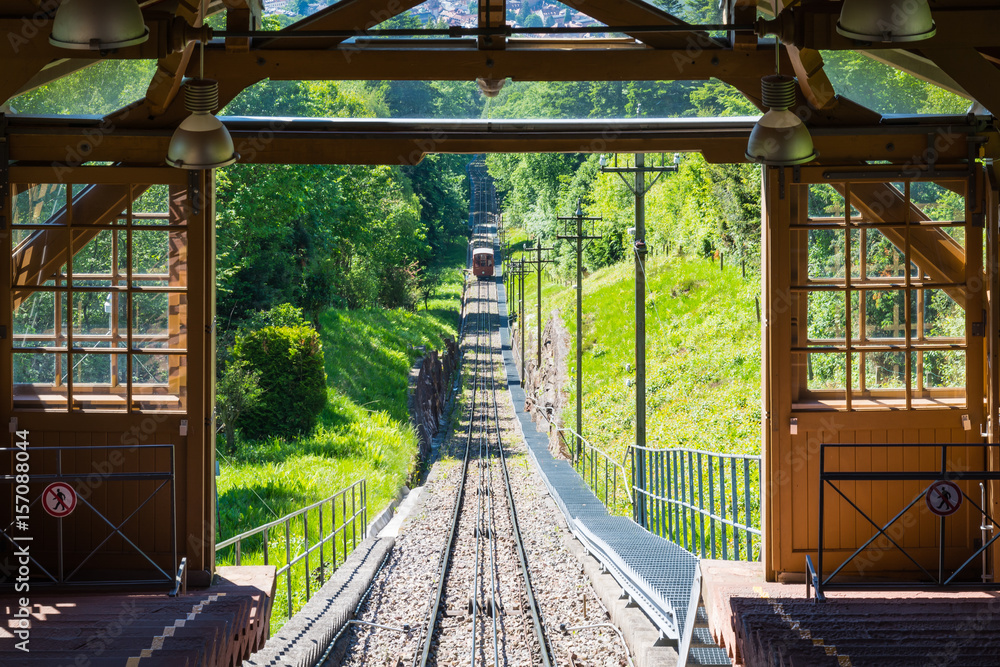 Forest Tram Wooden European Uphill Trees Summer Blue Day Arrival Cabin Forest Tram Wooden European Uphill Trees Summer Blue Day Arrival Cabin