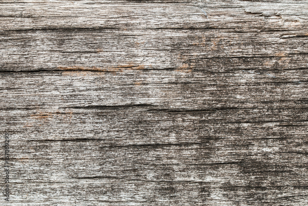 wood texture. background old panels wood texture. background old panels