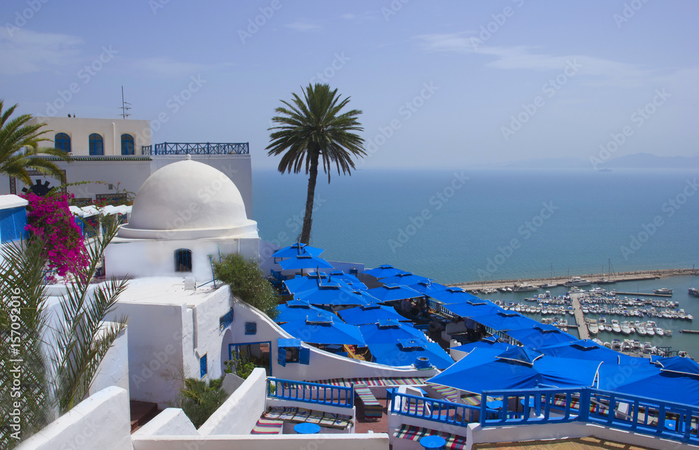 Fototapeta premium Beautiful scenery in the town of Sidi Bou Said