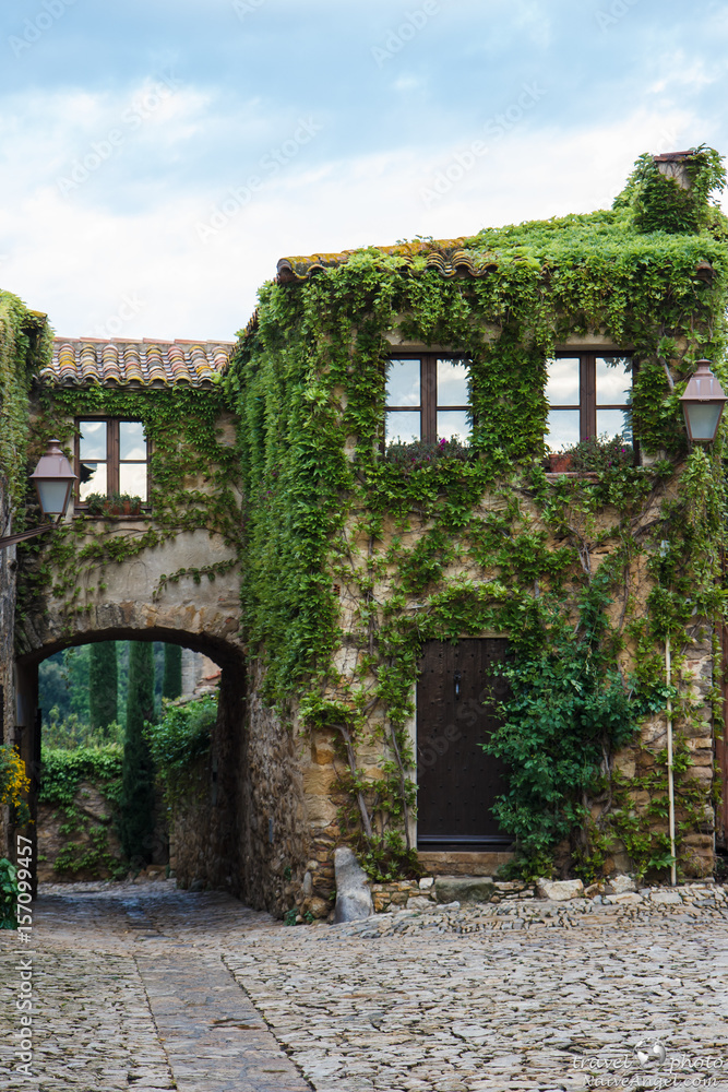 House covered with ivy leaves, Peratallada, Spain