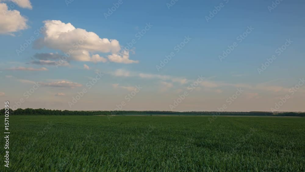 Russia, time lapse. Rapid movement of clouds in the spring over wheat fields in the endless steppes of the Don. Russia, time lapse. Rapid movement of clouds in the spring over wheat fields in the endless steppes of the Don.