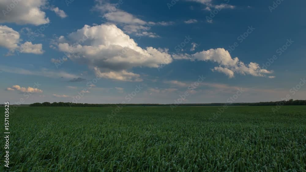 Russia, time lapse. Rapid movement of clouds in the spring over wheat fields in the endless steppes of the Don. Russia, time lapse. Rapid movement of clouds in the spring over wheat fields in the endless steppes of the Don.