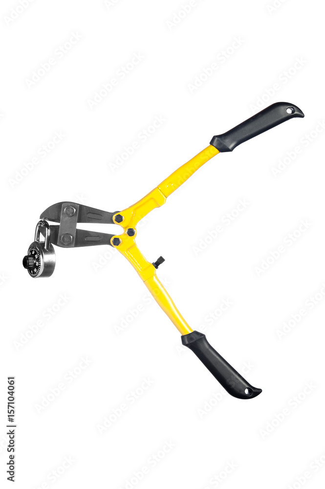 Bolt cutters on white Bolt cutters on white