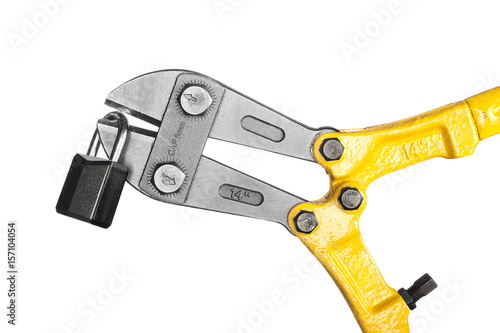 Bolt cutters on white
