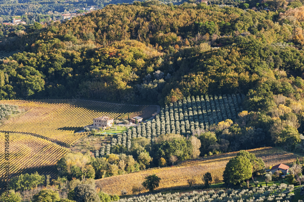 MONTEPULCIANO - TUSCANY/ITALY, OCTOBER 29, 2016:  An idyllic landscape large view over Montepulciano countryside, as seen from the town's top, bathed in the autumn sunset light 