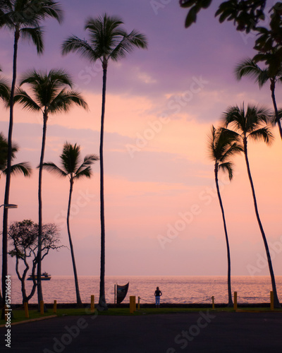 tropical palm sunset