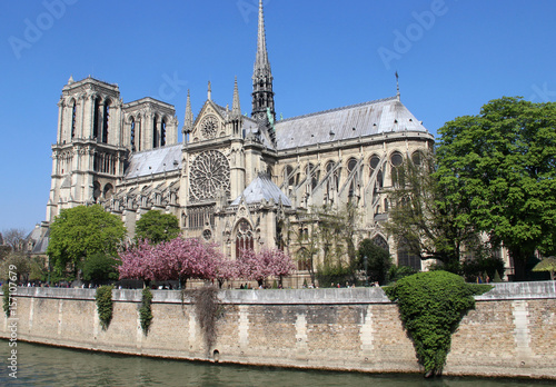 Notre Dame de Paris in blossom trees, France