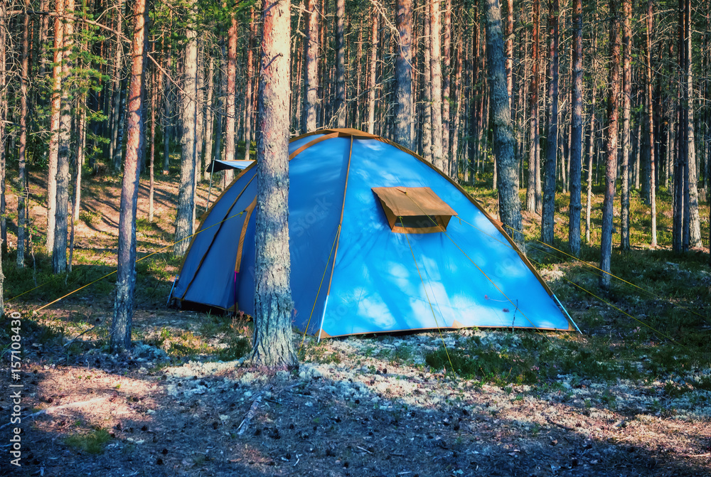 Blue Tent In A Summer Forest