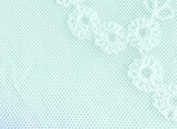 Fragment Of A Pastel Floral Lace Background