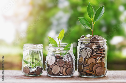 Plant growing Coins in glass  jar with investment financial concept and green nature sunlight photo