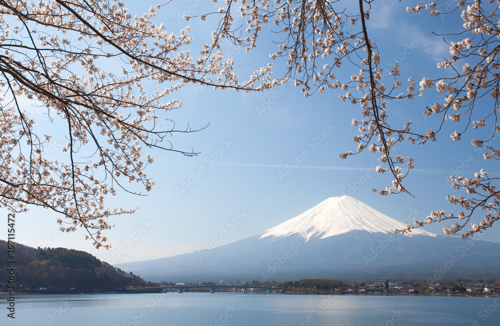 Cherry blossom sakura and mountain fuji at lake kawaguchiko
