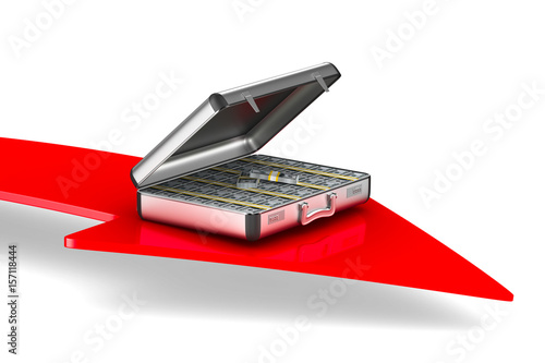 Case with money on white ba...
