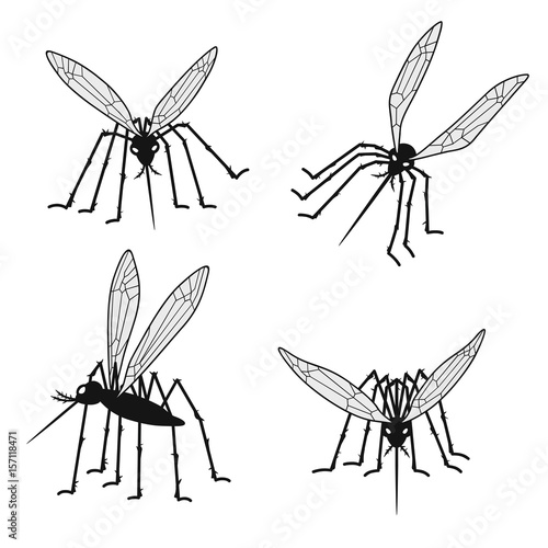Set of mosquito silhouettes isolated on white background. Vector 