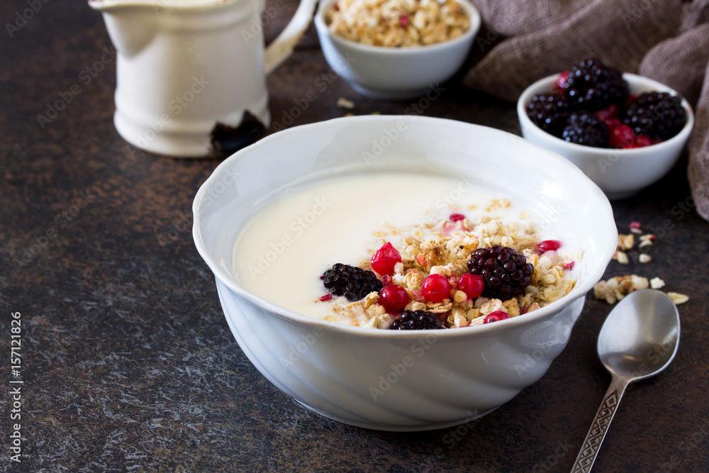 Granola. Homemade yoghurt with granola, currant and black raspberries. Copy space. Granola. Homemade yoghurt with granola, currant and black raspberries. Copy space.