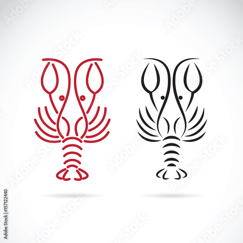 Vector of lobster shrimp design on white background, Aquatic animals.