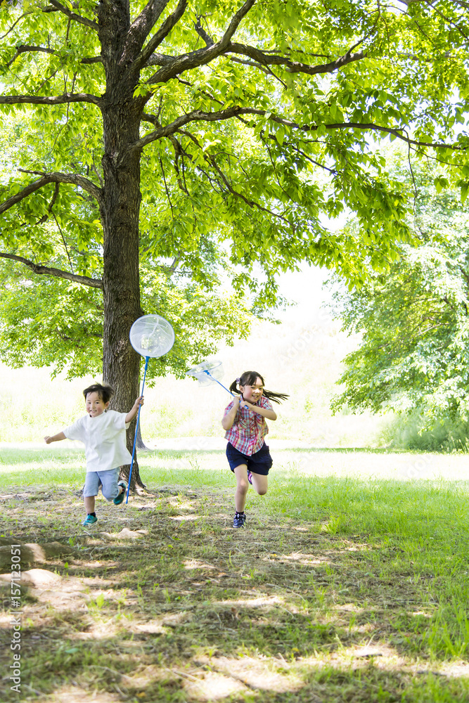 虫取り網を持ち笑顔で虫を追いかける子供2人 Stock Photo Adobe Stock