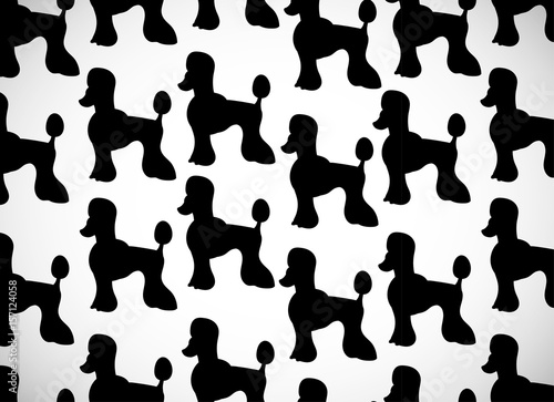 Awesome greeting card with cute cartoon dogs. Black silhouettes. Breed poodle