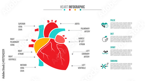 Vector medical and healthcare infographic.