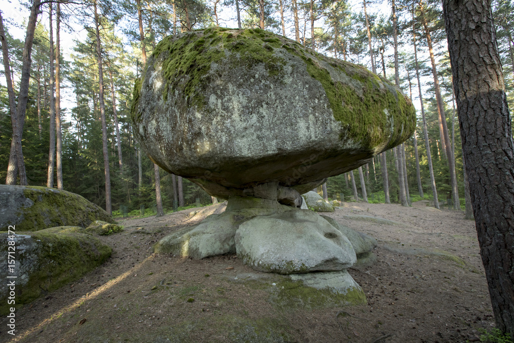 Blockheide bei Gmünd, Waldviertel, Niederösterreich