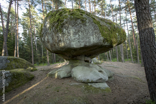 Obraz na płótnie Blockheide bei Gmünd, Waldviertel, Niederösterreich w salonie