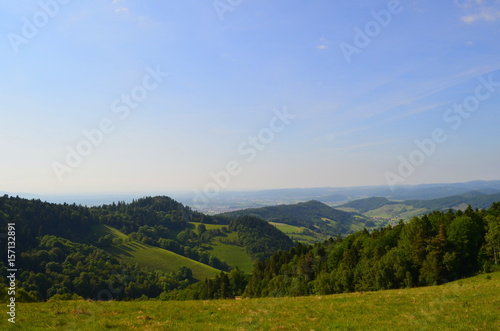 Blick vom Rosskopf auf den Schwarzwald