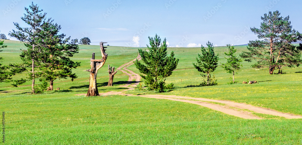 A few trees in the field with a road going away A few trees in the field with a road going away