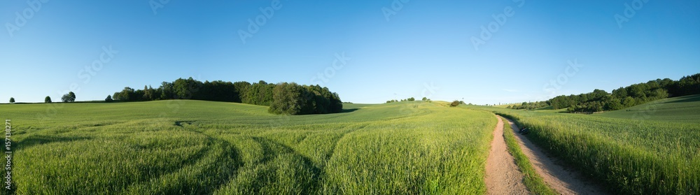  Panorama summer green field landscape with dirt road - obrazy, fototapety, plakaty 
