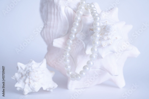 Two sea shells and a string of pearls