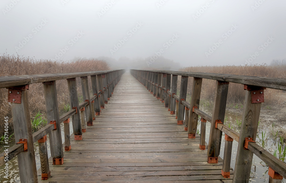 Obraz premium Puente de madera en el parque nacional de las Tablas de Daimiel. Ciudad Real. España.