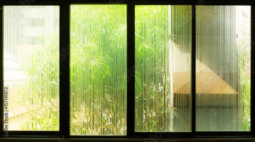 Tree outside window glass etching.