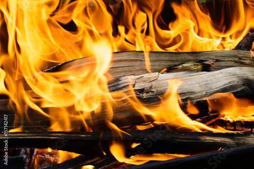 Burning wooden log covered with red fire
