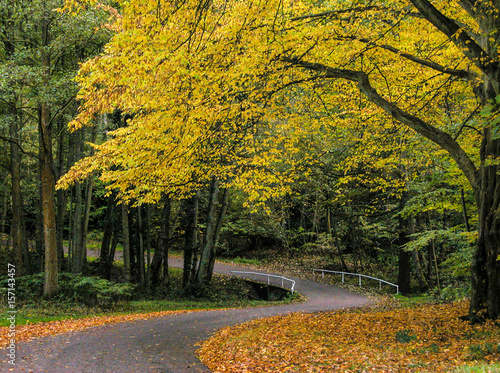 The Long & Winding Road