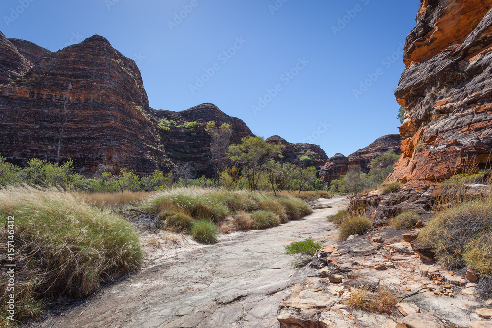 Fototapeta premium Banded beehive domes of the southern edge of the Bungle Bungle Massif, Purnululu, Kimberley, Western Australia