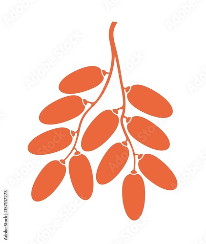Date. Fruit