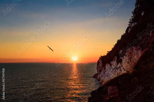 Scenic sunset from a cliff with sun sea and a silhouette of a seagull.