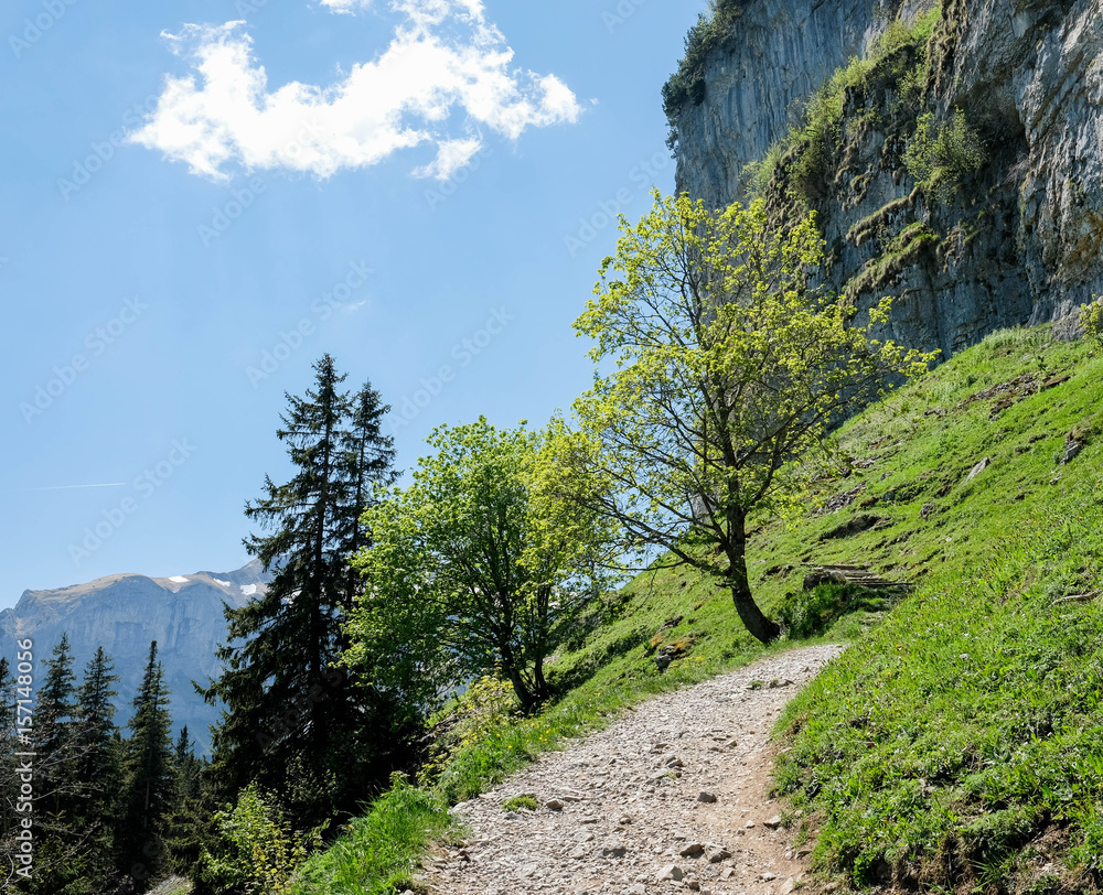 Fototapeta premium Berge und Hügel auf der Ebenalp