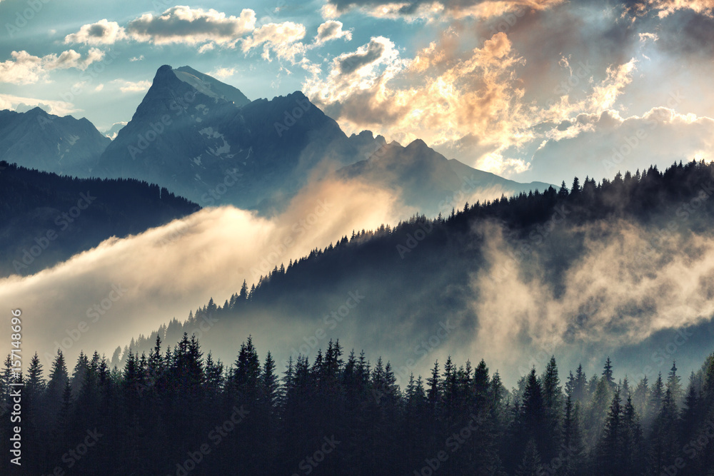 Fototapeta premium Mgłowy ranku krajobraz z pasmem górskim i jedlinowym lasem w modnisia rocznika retro stylu