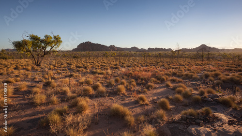 Late afternoon view of the southern face of the Bungle Bungle Massif, Purnululu National Park, Kimberley