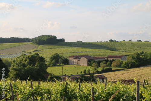 La Grande Champagne en Charente