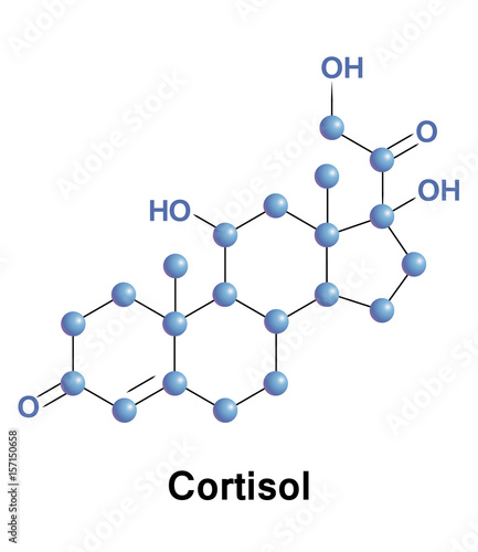 Cortisol is a steroid hormone, in the glucocorticoid class of hormones, when used as a medication, it is known as hydrocortisone. photo