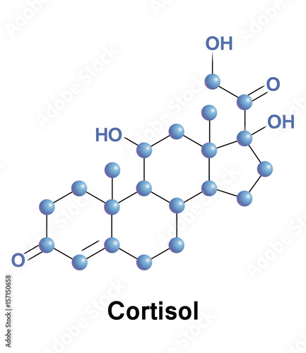 Cortisol is a steroid hormone, in the glucocorticoid class of hormones, when used as a medication, it is known as hydrocortisone.
