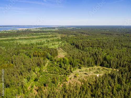 Fototapeta Naklejka Na Ścianę i Meble -  drone image. aerial view of rural area with forest and swamp lake