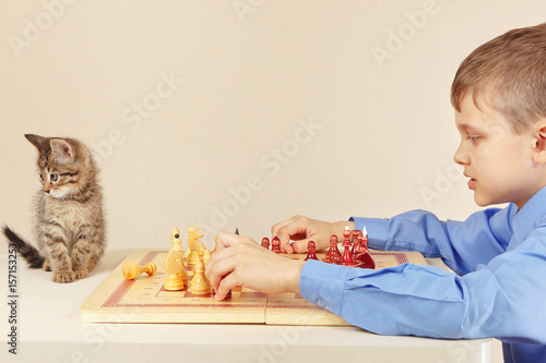 Young boy with a pretty kitten plays chess.